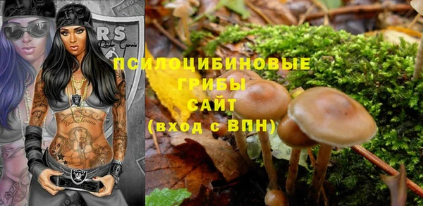не бодяженный Белокуриха