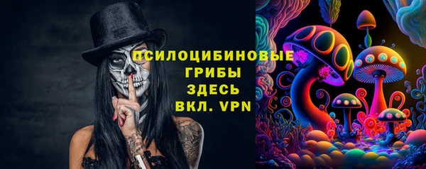 не бодяженный Белокуриха