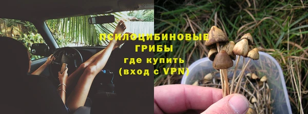 ECSTASY Белоозёрский