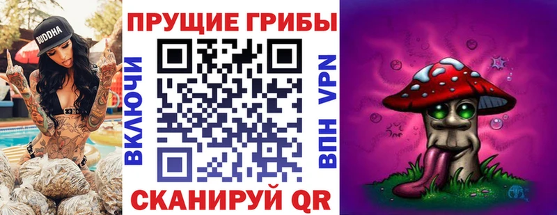 OMG   Малая Вишера  Псилоцибиновые грибы прущие грибы  купить наркотики сайты 